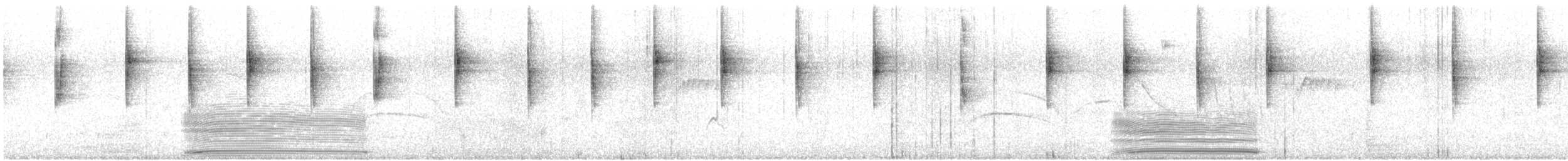 White-vented Violetear - ML626145165