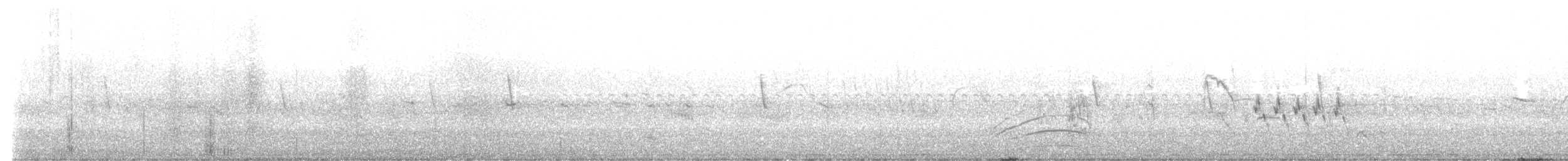 White-tipped Plantcutter - ML626145197