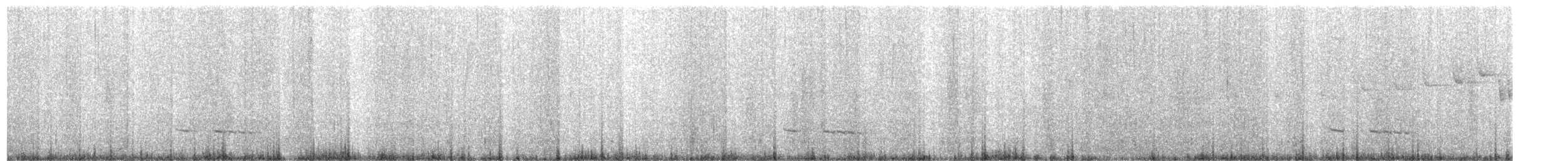 Equatorial Antpitta - ML626150330