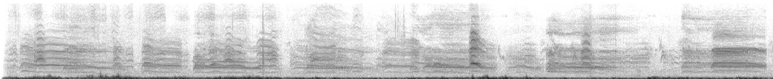 ギンカモメ（scopulinus） - ML626155549