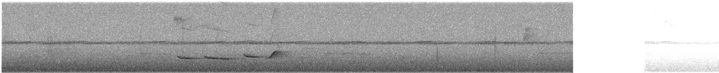 ハイイロカザリドリモドキ - ML626155780