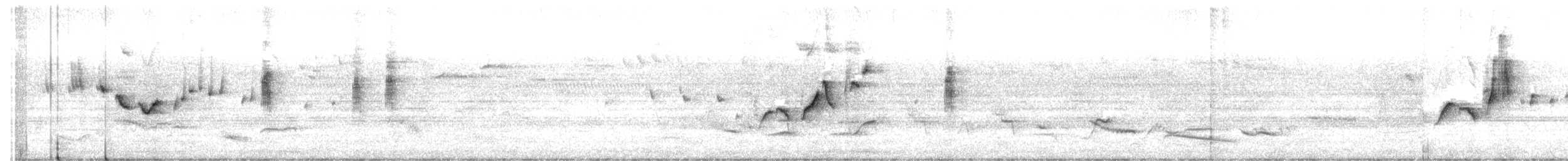 Stutzschnabel - ML626160193