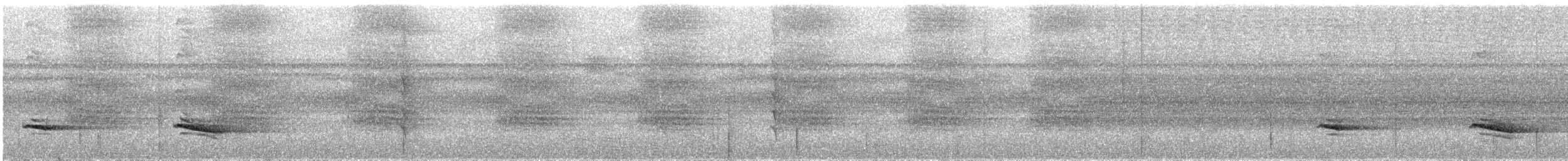 Chestnut-backed Antbird - ML626160335