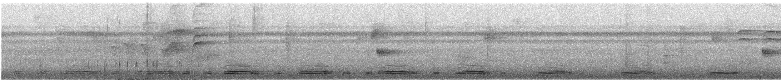 Broad-billed Motmot - ML626160419