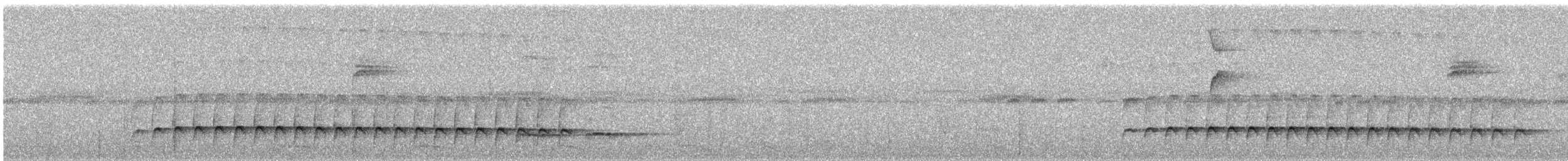 Western Fire-eye (Pacific) - ML626165399