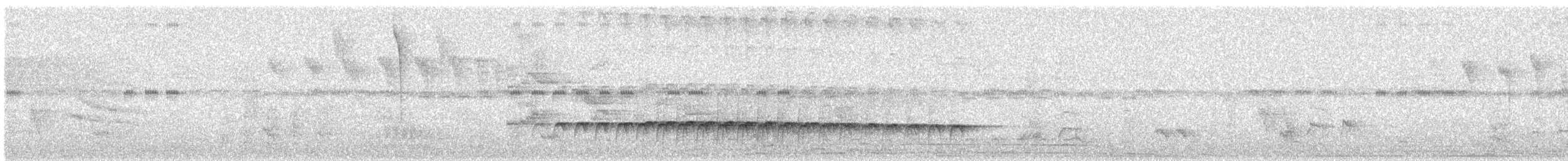 Western Fire-eye (Pacific) - ML626165400