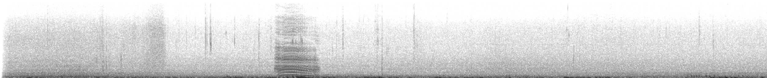 King Penguin - ML626165673