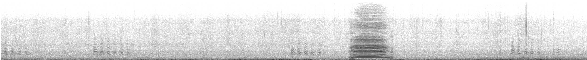 King Penguin - ML626165809