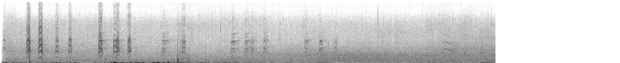 rybák jižní - ML626166702