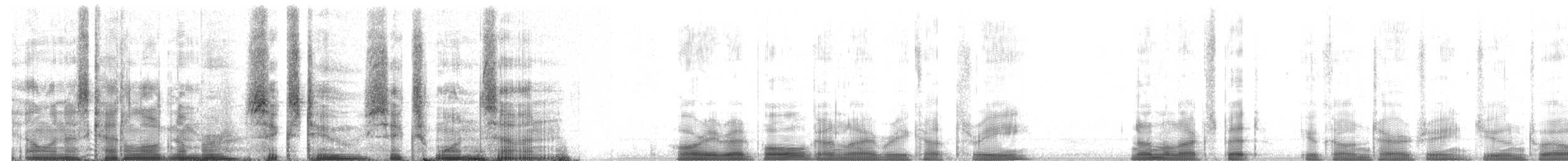 Redpoll (Hoary) - ML62617