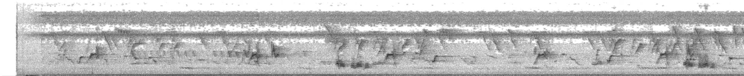 Malabarstar - ML626172166