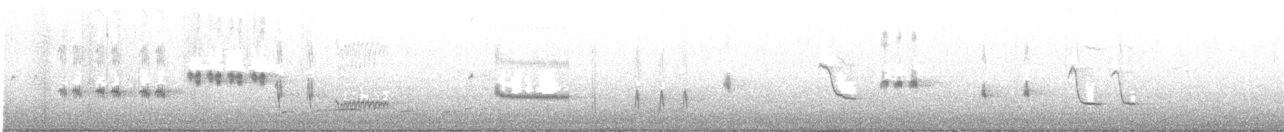 Grauwasseramsel - ML626172434