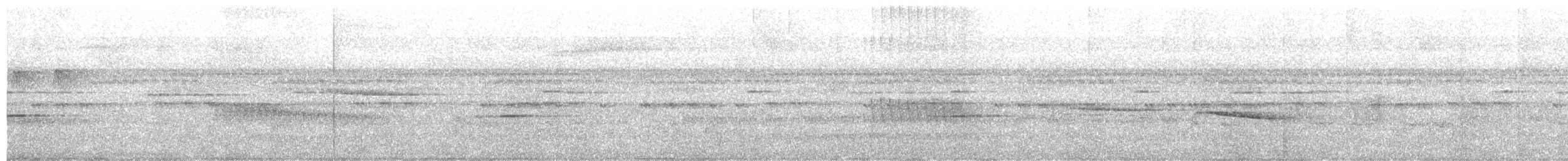 Sapayoa - ML626173888