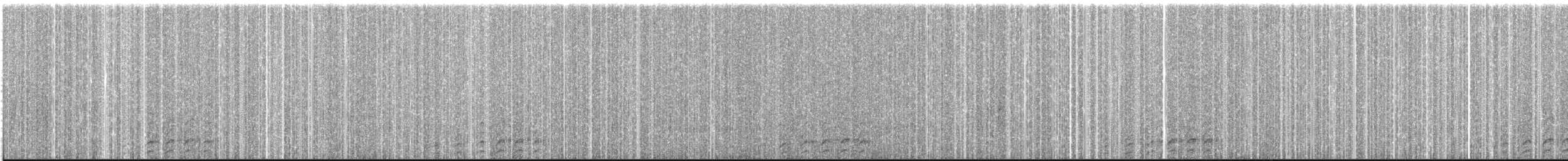 Utcubamba Tapaculo - ML626176295
