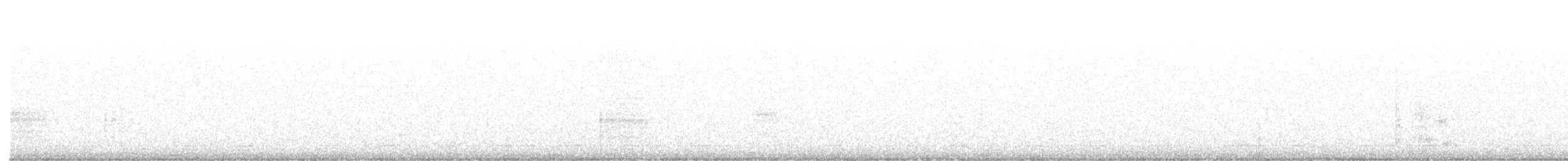 Northern Saw-whet Owl - ML626177344