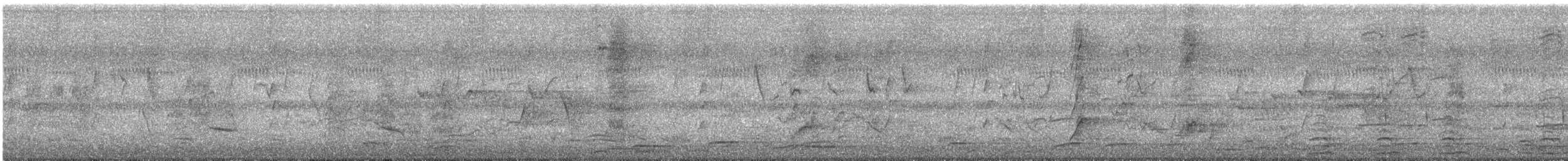Magpie Goose - ML626185184