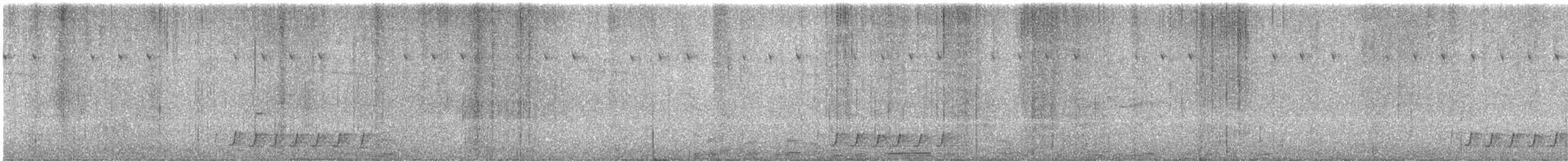 Rufous Vanga - ML626185457