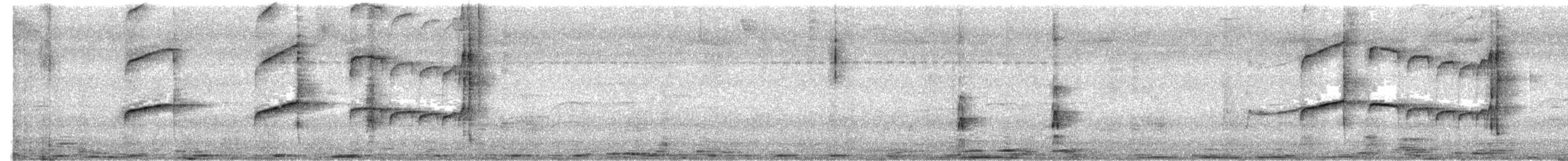 Brown-capped Tyrannulet - ML626187390