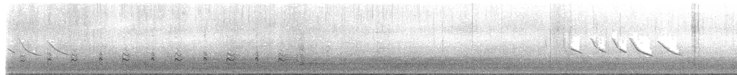 Magellanic Snipe - ML626188772