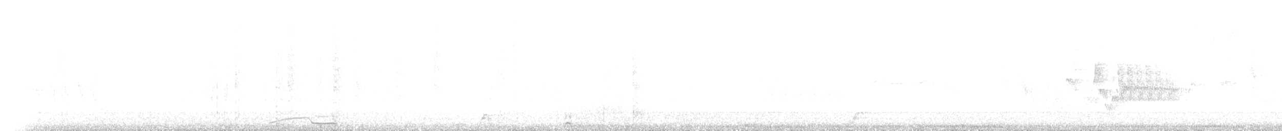 Yungas Guan - ML626189348