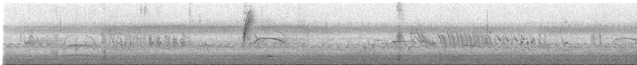 Yellow-billed Pintail - ML626189625