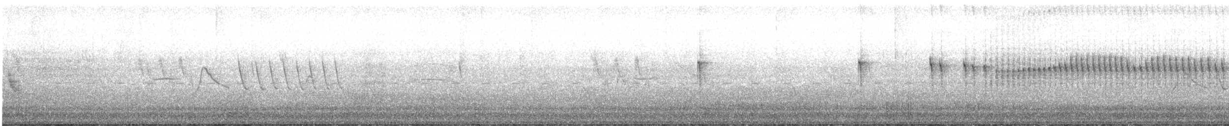 Sooty Tyrannulet - ML626192884