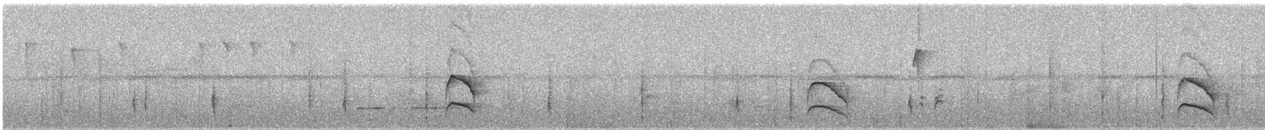 Western Fire-eye (Pacific) - ML626196263