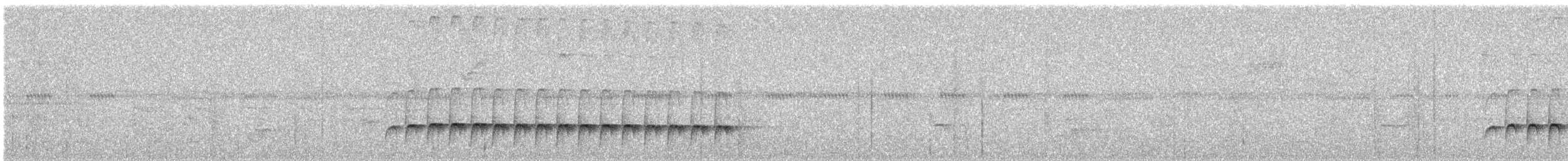Western Fire-eye (Pacific) - ML626196265