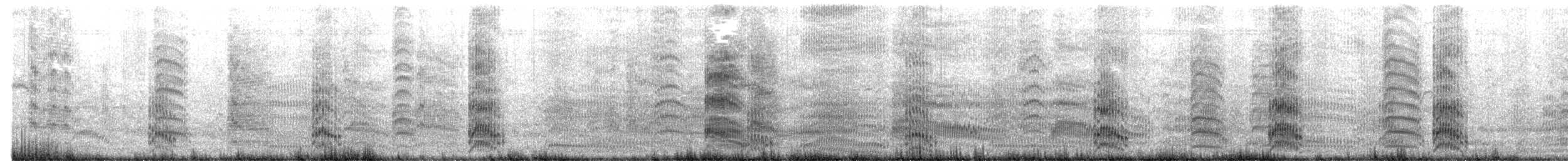 ギンカモメ（scopulinus） - ML626196322
