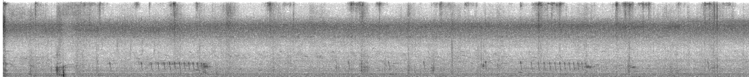 Indiennachtschwalbe - ML626200124