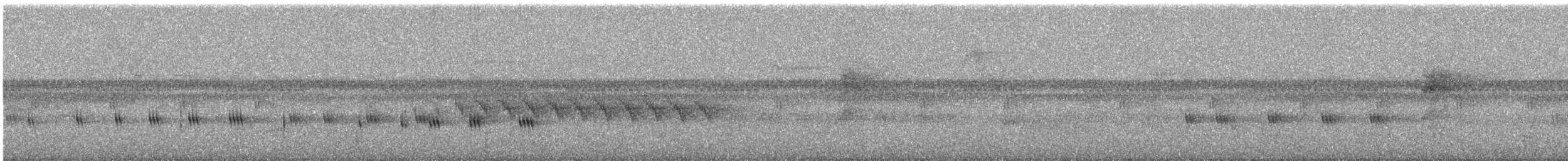 オオヒメコノハドリ - ML626201416