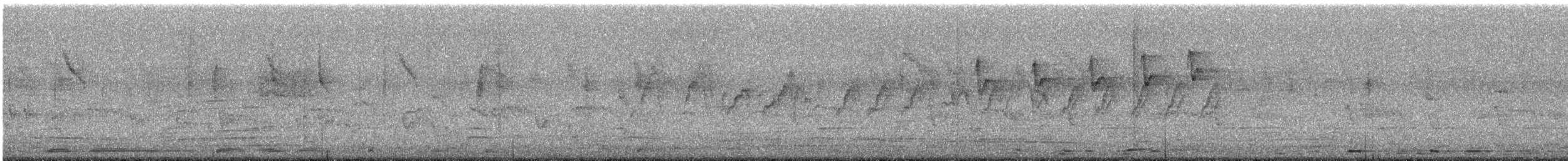 Pachyglossa/Dicaeum sp. - ML626203684