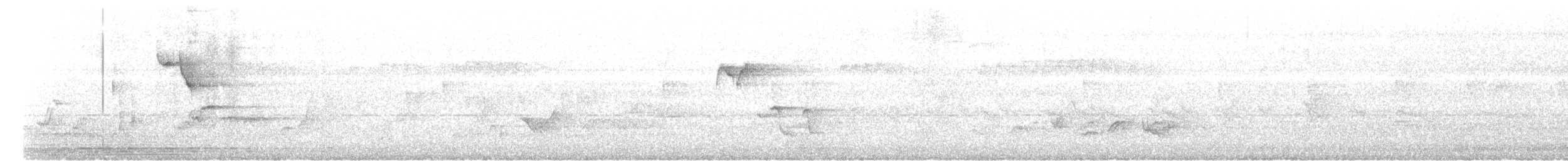 Hill Blue Flycatcher - ML626207008