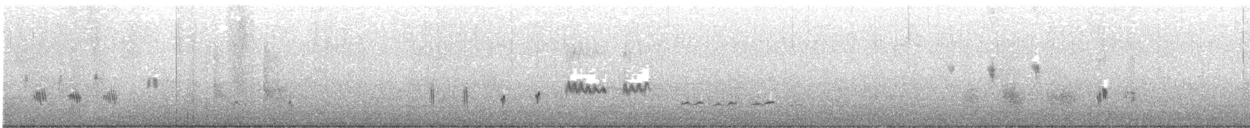 Grauwasseramsel - ML626208137