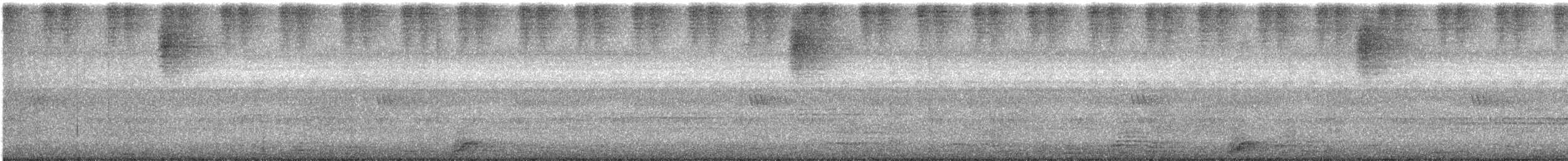 výreček indický - ML626209972