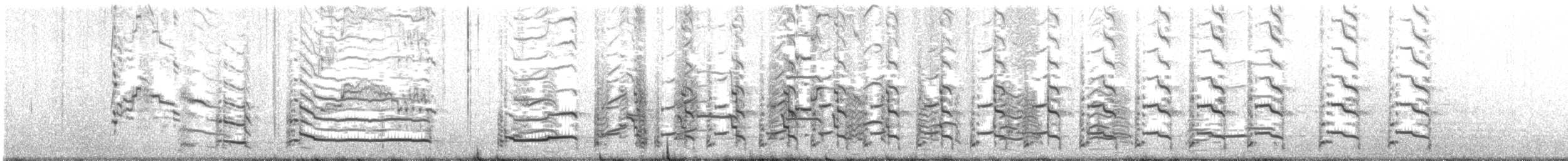 American Herring Gull - ML626213483