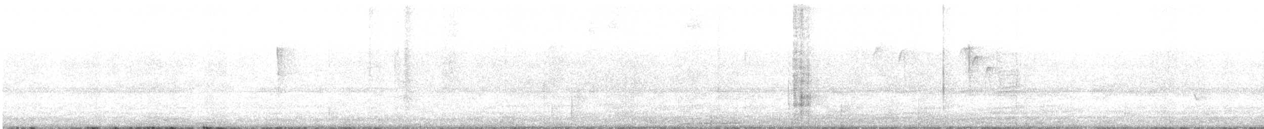 マツアメリカムシクイ - ML626214046