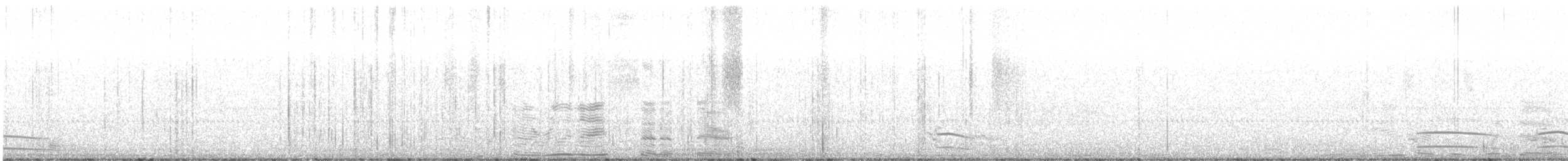 Plongeon catmarin - ML626216216