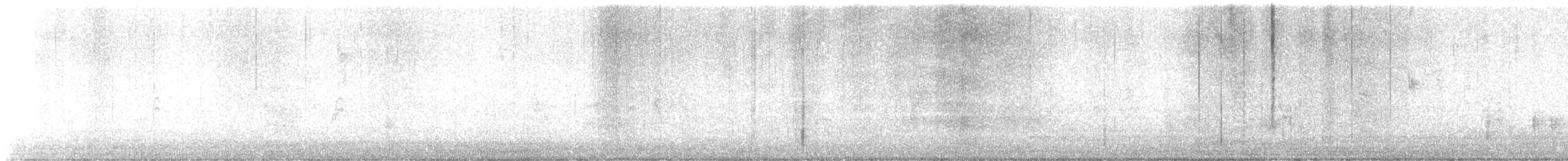 raven sp. - ML626217722