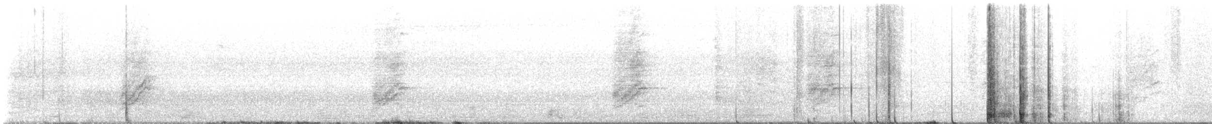 Woodhouse's Scrub-Jay - ML626219909