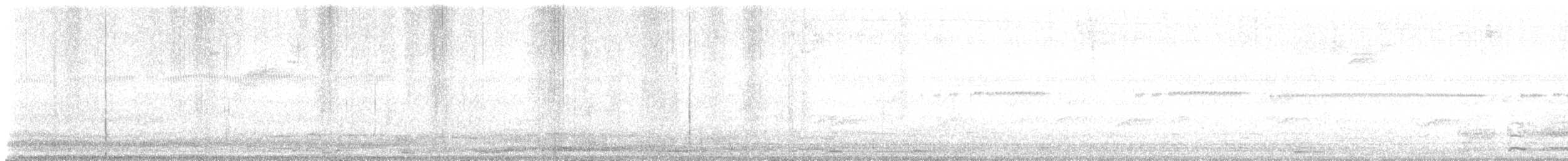 Loggerhead Kingbird (Puerto Rico) - ML626223966