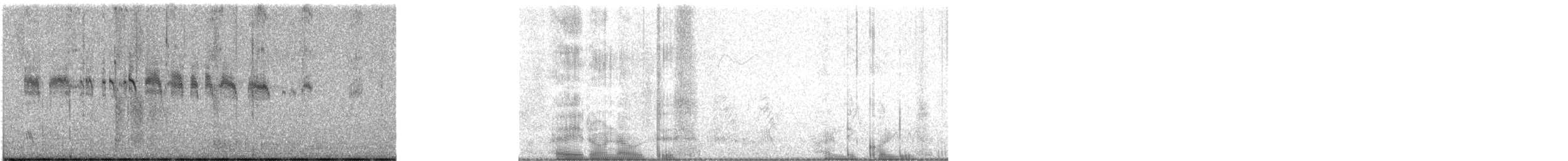 Andean Swift - ML626227752