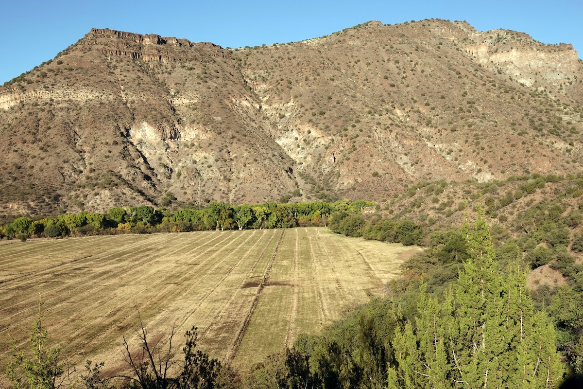 הודן בר - ML626228260