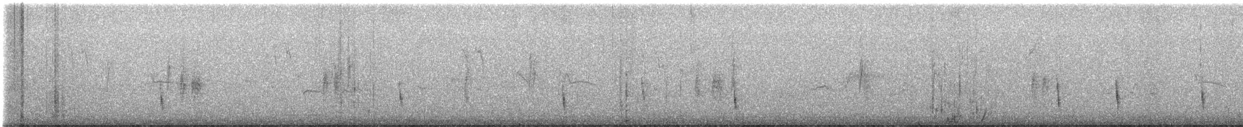 Hermit Thrush - ML626229374