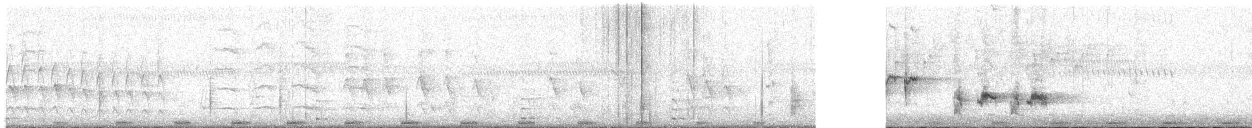 Blongios d'Australie - ML626229945