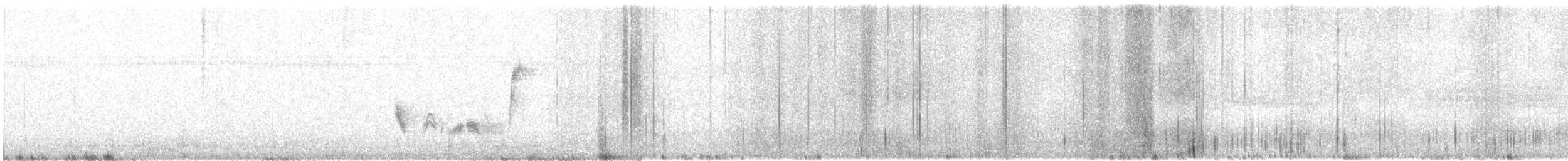 vireo sp. - ML626231737
