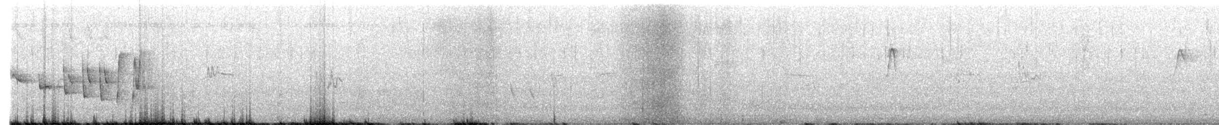 Noisy Scrub-bird - ML626236968