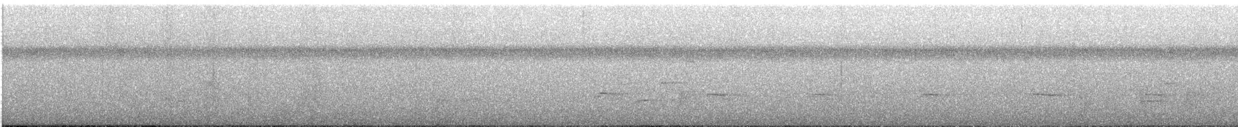 ledňáček pacifický - ML626237257