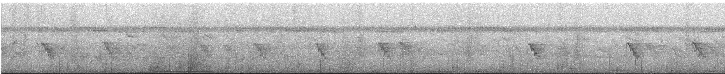 Carpophage pacifique - ML626237286