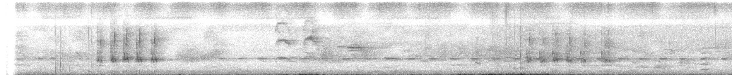 Radjah Shelduck - ML626240846